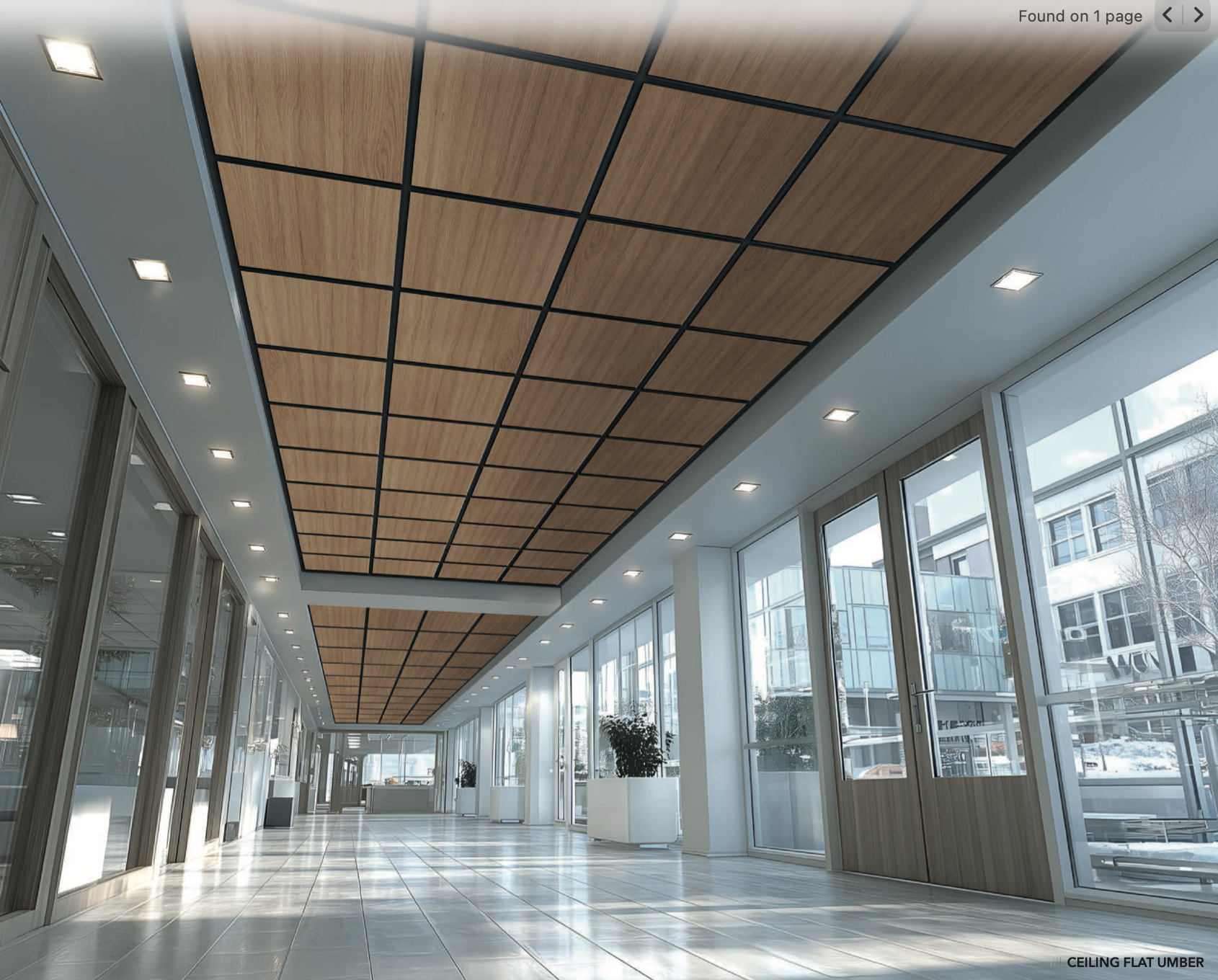CEILING FLAT - Riflaje